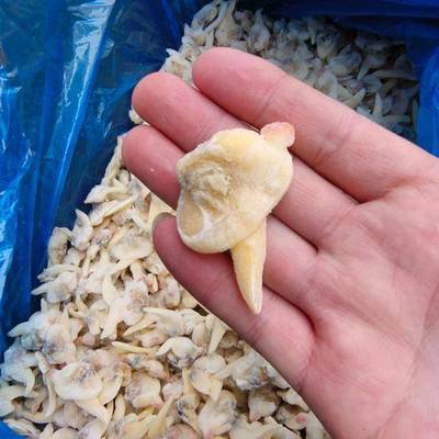 連云港農(nóng)產(chǎn)品市場 供應(yīng)、價格與網(wǎng)上交易平臺全景分析